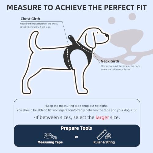 PUPTECK Dog Harness, Collar and Leash Set No Pull for Small Medium Sized - Image 2