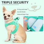 PUPTECK Adjustable Dog Harness Collar and Leash Set Step in No Pull Pet Harness for Small Medium Dogs Puppy and Cats Outdoor Walking Running, Soft Mesh Padded Reflective Vest Harnesses, Solid Green XS - Image 5