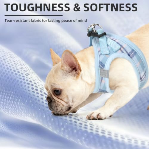 PUPTECK Dog Harness, Collar and Leash Set No Pull for Small Medium Sized - Image 6