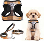 PUPTECK Dog Harness, Collar and Leash Set No Pull for Small Medium Sized by PUPTECK