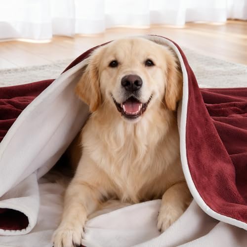 LOOBANI Waterproof Dog Blanket for Couch, Soft Couch Cover 50" x 60", Red - Image 2