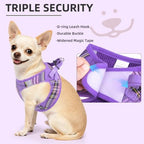 PUPTECK Dog Harness, Collar and Leash Set No Pull for Small Medium Sized - Image 5