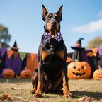 Halloween Dog Bow Ties Bulk for Large Dogs 30 Pack 5.1"*3.1" L - Image 5