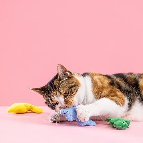 Fringe Studio Plush Cat Toy Set, Rawr-Some Crew, Mini 3 Piece Set, Approx. 3" x 3.5",Pet Shop Collection (904036) - Image 5