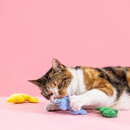 Fringe Studio Plush Cat Toy Set, Rawr-Some Crew, Mini 3 Piece Set, Approx. 3" x 3.5",Pet Shop Collection (904036) - Image 5