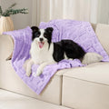 Luciphia Soft Small Dog Blanket 300GSM Fleece Throw Puppy Cat,41"x31" by luciphia