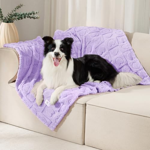 Luciphia Soft Small Dog Blanket 300GSM Fleece Throw Puppy Cat,41"x31" by luciphia