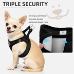 PUPTECK Dog Harness, Collar and Leash Set No Pull for Small Medium Sized - Image 5