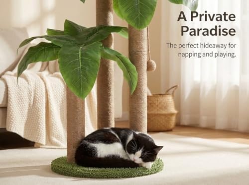 LEMONDA 31.5Inch Cat Scratching Post,Cat Scratcher Tree with 3 Scratching Poles & 2 Interactive Dangling Balls,Cats Scratching Posts for Indoor Kitten & Adult Cats (2 Posts) - Image 7