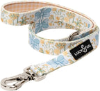 Lucy & Co. Sunshine and Daffodils Dog Leash, Durable Matching Dog Lead with Heavy Duty Hardware, Large