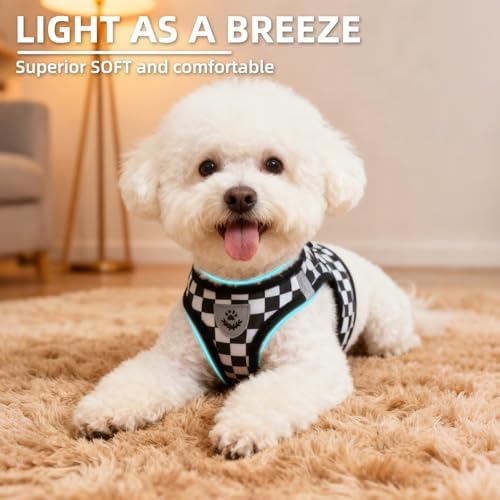 PUPTECK Dog Harness, Collar and Leash Set No Pull for Small Medium Sized - Image 3