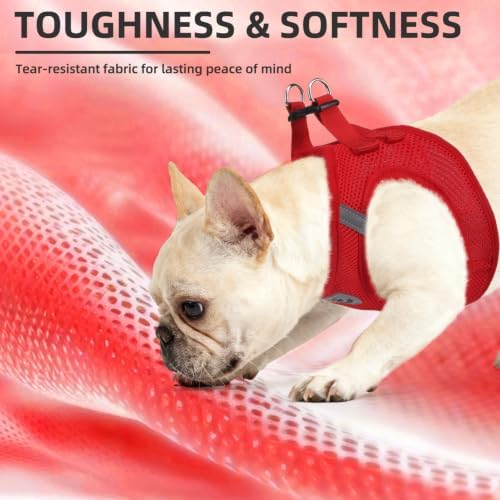 PUPTECK Dog Harness, Collar and Leash Set No Pull for Small Medium Sized - Image 6