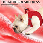 PUPTECK Dog Harness, Collar and Leash Set No Pull for Small Medium Sized - Image 6