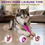 WinTour Tough Dog Chew Toys for Aggressive Chewers, Nylon Durable Dog Toys - Image 5