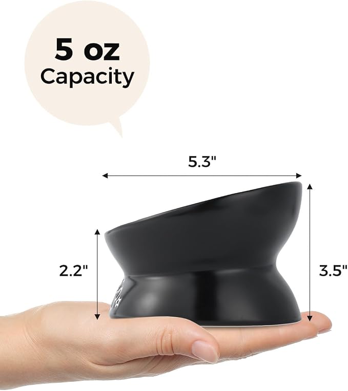 LoeJan Elevated Cat Food Bowl, 5 Oz Ceramic Raised and Tilted Water Bowl, Anti Vomiting and Protect Pets' Spines Dishes for Small Dog, Fat Faced Cat, Kitten (Black Pattern, 1 Pack)