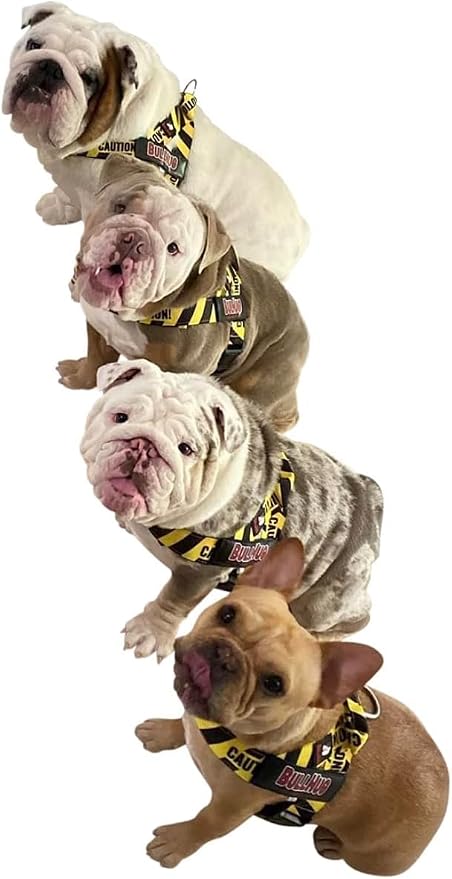 BULLHUG Adjustable Dog Harness– No Pull, No Choke – for English Bulldogs, French Bulldogs, Pugs & Broad-Chested Breeds – Easy, Safe Walks (Caution, Small)