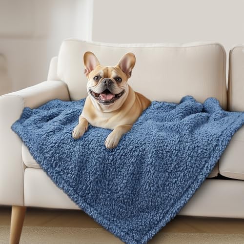 Luciphia Ultra Soft Sherpa Fleece Dog Puppy Cat Blanket for Small Pets by luciphia
