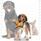 TUFFY® 2 Pack Pterodactyl and Warthog Ultra Durable Plush Dog Toys | Multiple Layers & Reinforced Seams, Washable and Floats, Original Construction