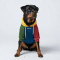 Spark Paws Dog Hoodie – Premium Dog Sweater for Small, Medium, and Large Dogs | Warm Outfits for French Bulldogs, Pitbull, Puppy, Winter Jacket Alternative - Primary Color Block - 5XL