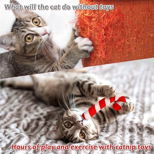 MALLMALL6 2Pcs Christmas Candy Cane Catnip Toys Gift for Cat, Indoor Cat Chew Bite Kick Plush Catmint Pet Toys Supplies for Cat Lover Gifts, Cute Interactive Cat Toy with for Pet Presents - Image 5