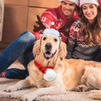 SATINIOR 4 Pcs Christmas Pet Costume Santa Hat Reindeer Antler,Funny Style - Image 3
