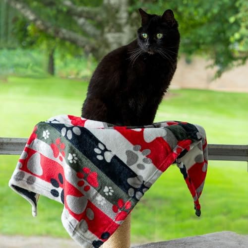 Pet Dog Cat Blanket Ultra Soft Cozy Fleece Paw Print Design Machine Washable Durable for Crates Beds Sofas Travel (Argyle Paws, Large) - Image 4