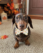 PET SHOW 30 Pack Fall Dog Bowties Bulk for Small Dogs Cats - Image 7