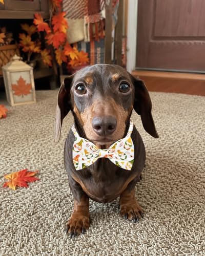 PET SHOW 30 Pack Fall Dog Bowties Bulk for Small Dogs Cats - Image 7