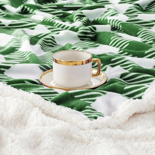 Touchat Sherpa Plaid Twin Blanket 60" X 70", Fuzzy Fluffy Soft Cozy Throw Blanket, Twin Size Plush Fleece Flannel Plush Microfiber Blanket for Couch Bed Sofa (GreenWhite) - Image 3