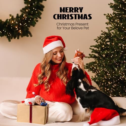 Nocciola 3 PCS Christmas Dog Toys, Santa Claus, Reindeer and Gingerbread Man Crinkle Dog Squeaky Toys, Cute Stuffed Puppy Toys,Perfect Christmas Toys for Small Medium Dogs - Image 6
