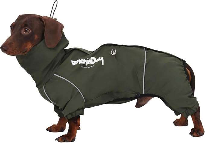 Dachshund Full Body Dog Raincoat, Waterproof 4-Leg Jacket with Removable Belly Flap, Lightweight Reflective Hooded Dog Coat for mini Dachshund Small Medium Dogs (X-Small (4-6lbs))