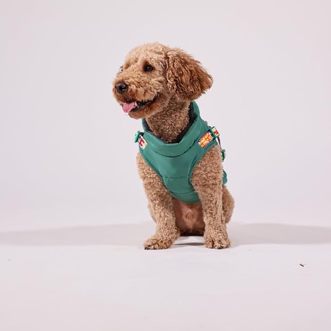 Pawlook Waterproof Dog Raincoat with Built-in Recycled Harness & Fleece Lining – Full Chest Coverage, Back Zipper – Poop Bag Pocket – Eco-Friendly – XS to XXL – Coordinates with Pawlook Gear G*L