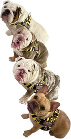 BULLHUG Adjustable Dog Harness– No Pull, No Choke – for English Bulldogs, French Bulldogs, Pugs & Broad-Chested Breeds – Easy, Safe Walks (Caution, Large)