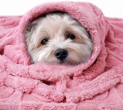 Luciphia 2 Pack Small Dog Blanket, Cozy Fleece Throw for Puppy Cat,30"x20" - Image 3