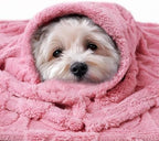 Luciphia 2 Pack Small Dog Blanket, Cozy Fleece Throw for Puppy Cat,57"x40" - Image 3
