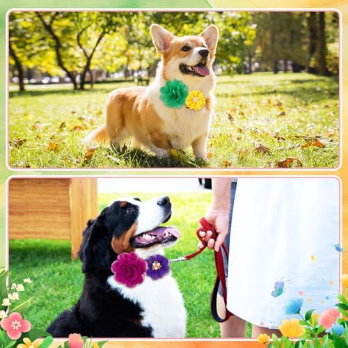 Hoteam 50 Pcs Dog Collar Flowers Bows Accessories, Multicolor - Image 3