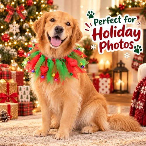 Dog Collar,S - Image 2