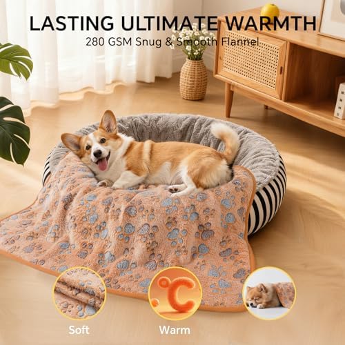 1 Pack 6 Blankets Dog Cat Soft Fluffy Fleece Pet Blanket Warm Cute Print Design Puppy Kitten Blanket Doggy PAW-2 Small (23" x16") - Image 6