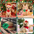 Hoteam 50 Pcs Dog Collar Flowers Bows Accessories, Christmas Red Green - Image 3