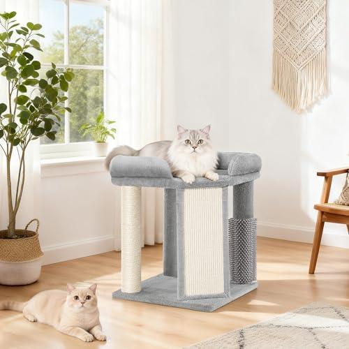 Small Cat Tree with Cat Scratching Post, 18.9 in Tower Light Gray - Image 2