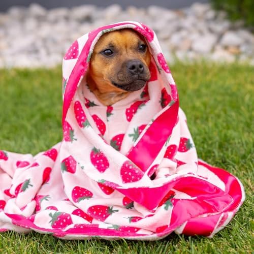Darren & Phillip Cutie Frutti Strawberry Blanket - Ultra-Soft Blankets Made with Plush Fleece - Perfect as a Dog Bed Blanket or for Cuddling with Your Pup - Ultra-Snuggly Blankets for Dogs & Humans - Image 7
