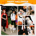 PAWCHIE Halloween Squeaky Dog Toys 2 Pcs for Small Medium Dogs,No Stuffing Crinkle Puppy Toy,Soft Pet Plush Teething Toys Mess-Free Interactive Chew Toy for Boredom Ideal, Skeleton & Mummy - Image 5