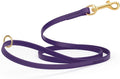 Viper Biothane K9 Working Dog Leash Waterproof Lead for Tracking Training Schutzhund Odor-Proof Long Line with Solid Brass Snap for Puppy Medium and Large Dogs 4ft, Violet Purple