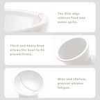 CEEFU 2-Pack Extra Wide Elevated Ceramic 6.2" Shallow Cat Food Bowls | Cat Dish for Whisker Fatigue Relief, 5" Height for Easy Feeding, Durable Raised, White