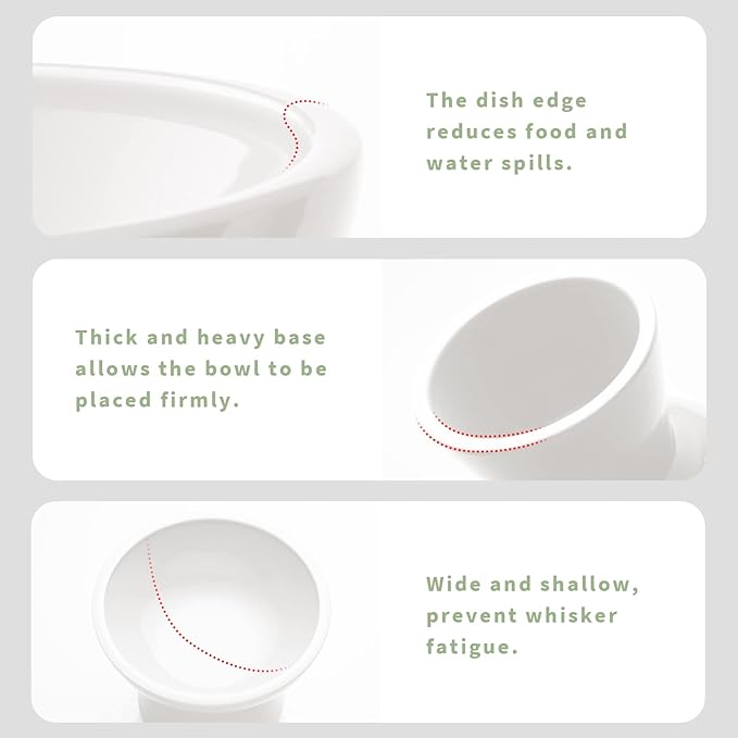 CEEFU 2-Pack Extra Wide Elevated Ceramic 6.2" Shallow Cat Food Bowls | Cat Dish for Whisker Fatigue Relief, 5" Height for Easy Feeding, Durable Raised, White