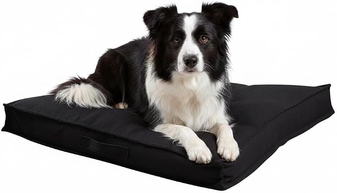 Indoor Dog Bed with Removable Washable Cover, Soft Basketweave Fabric, Reversible Cushion, Carry Handle, Baffle Construction to Help Prevent Fill Shifting, Black - Medium (32"x32")
