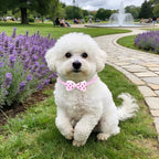 PET SHOW Cute Bow Ties Collar for Small Dogs Puppy Cats Adjustable Bowties Neckties Pet Grooming Accessories Assorted Randomly Pack of 50 (Girl Bow Ties) - Image 7