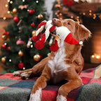 Senneny Christmas Dog Toys, Squeaky Snowman Plush with Ropes for Tug of War, Durable Interactive Chew Toys for Puppy Small Medium Large Dogs - Image 4