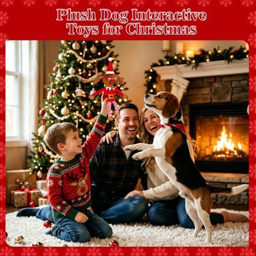 IOKHEIRA Christmas Elf Squeaky Plush Dog Toys,Stuffed Chew Toy, Interactive Holiday Tug & Fetch Toy for Puppy Small Medium Large Dogs,Christmas Dog Gifts - Image 2