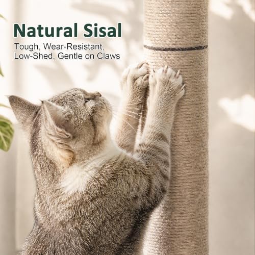 40" Cat Scratching Post, Monstera Leave Large Cat Scratcher Tree - Image 4